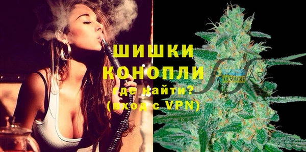 твердый Новодвинск