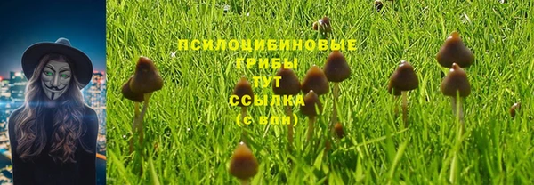 твердый Новодвинск