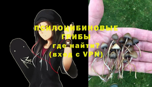марки lsd Новозыбков