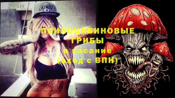 ECSTASY Нязепетровск