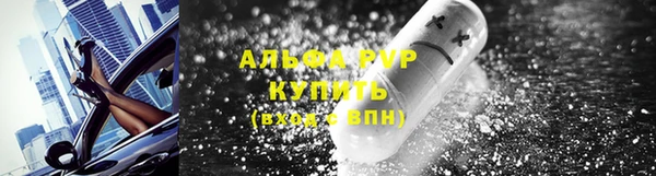 твердый Новодвинск
