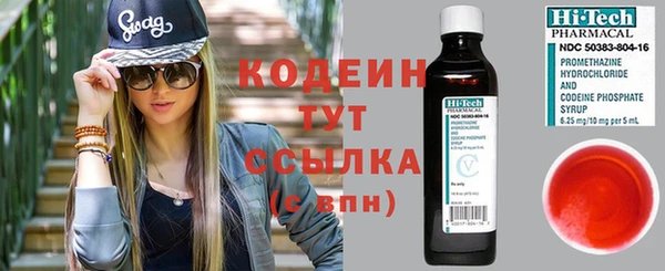 ГАЛЛЮЦИНОГЕННЫЕ ГРИБЫ Няндома